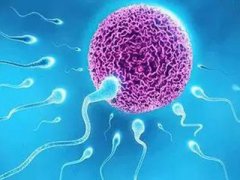 高龄做泰国试管婴儿能避免这些顾虑吗?
